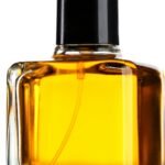 Como Saber o Tempo de Fixação de um Perfume? Veja Como Avaliar a Duração na Pele